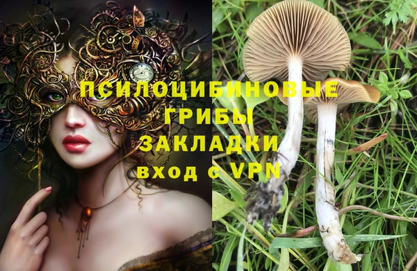 MDMA Premium VHQ Красноперекопск