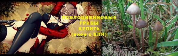 MDMA Premium VHQ Красноперекопск