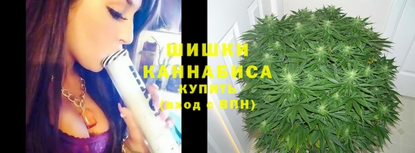 стафф Краснотурьинск