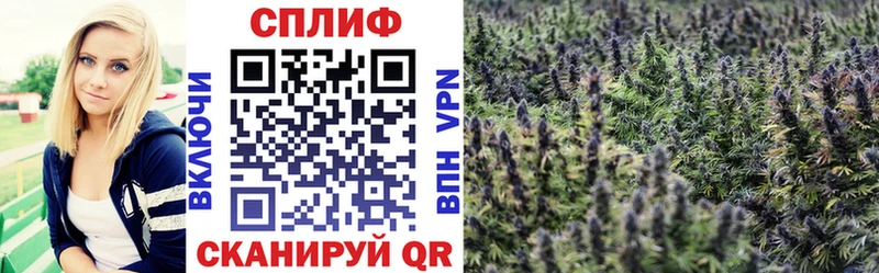 Купить закладки  Волчанск  Канабис SATIVA & INDICA 